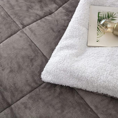 Seward Park Grey Sherpa Comforter Set Twin XL Size, All Season Soft Warm Fleece Fall Blanket, Winter College Dorm Bedding Sets with 1 Pillow Sham