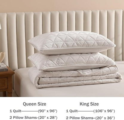 Homzard Velvet Quilt Set Queen Size Bedding Set, Cream White Velvet Comforter, Luxury Bedspreads Queen Size, Cream White Bedding,Soft Lightweight Quilts for All Season