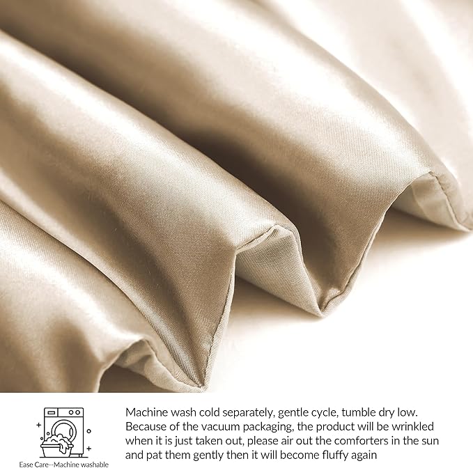 Whale Flotilla 2-Piece Reversible Silky Soft Twin Size Comforter Bedding Set, Luxurious Satin Comforters with Satin Pillowcase, Lightweight Duvet for All Seasons, Champagne