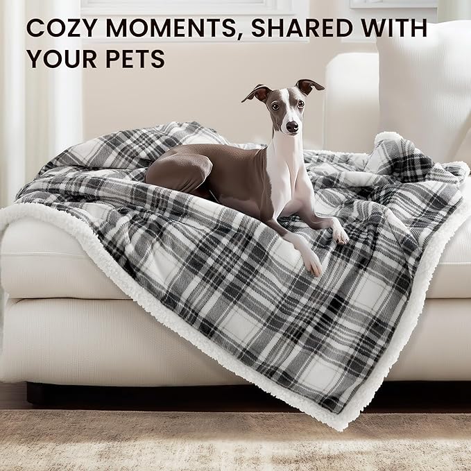Heated Blanket Electric Throw-50''x60''Ultra Soft Cozy Plaid Flannel Fast Heating Electric Blanket with 10 Heat Levels & 10 Hrs Auto Off, ETL Certified, Keep Warm in Home Office (Grey)