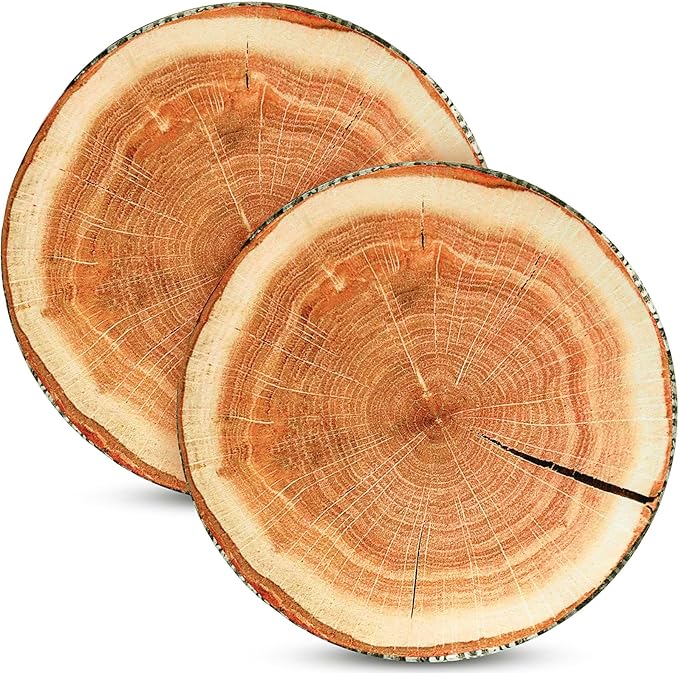 Queekay 2 Pcs Round Throw Pillow Decorative Wood Slice Floor Cushion 3D Digital Printing Forest Decor Soft Circle Pillow Cute Stump Camping Memory Foam for Home Chair Bedroom Decor(Emulation)