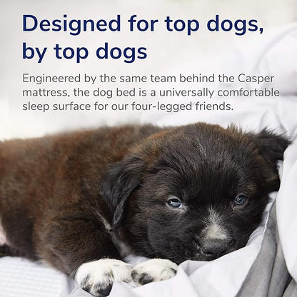 Casper Dog Bed, Plush Memory Foam, Large, Sand, 35.0"L x 45.0"W x 7.0"Th