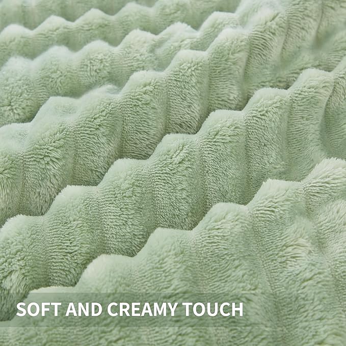 Andency Fleece Queen Comforter Set, 3 Pieces Sage Green Comforter Set for Queen Size Bed, Soft Warm Fluffy Fuzzy Bedding Set for Winter (1 Comforter & 2 Pillowcases)