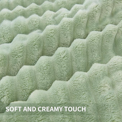 Andency Fleece Queen Comforter Set, 3 Pieces Sage Green Comforter Set for Queen Size Bed, Soft Warm Fluffy Fuzzy Bedding Set for Winter (1 Comforter & 2 Pillowcases)