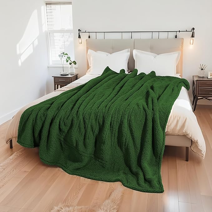 Electric Heated Blanket Full Size 72"×84" with 9 Heating Levels & 1-10Hs Auto Off，Double Sided Plush Sherpa, Energy Efficient, Machine Washable, for Couch & Bed, Green