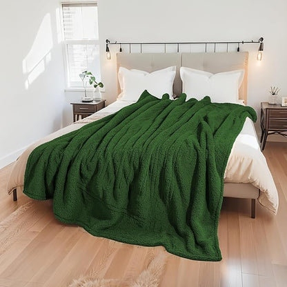Electric Heated Blanket Full Size 72"×84" with 9 Heating Levels & 1-10Hs Auto Off，Double Sided Plush Sherpa, Energy Efficient, Machine Washable, for Couch & Bed, Green