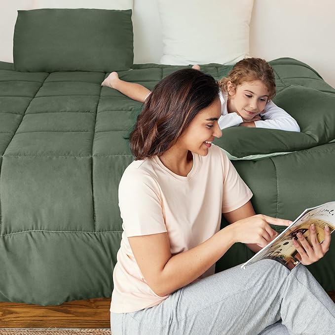 Exclusivo Mezcla Lightweight Reversible Full Queen Size Comforter Set, Down Alternative Comforter with 2 Pillow Sham, Full Queen Size Bedding Set for All Seasons, Emerald/Mint