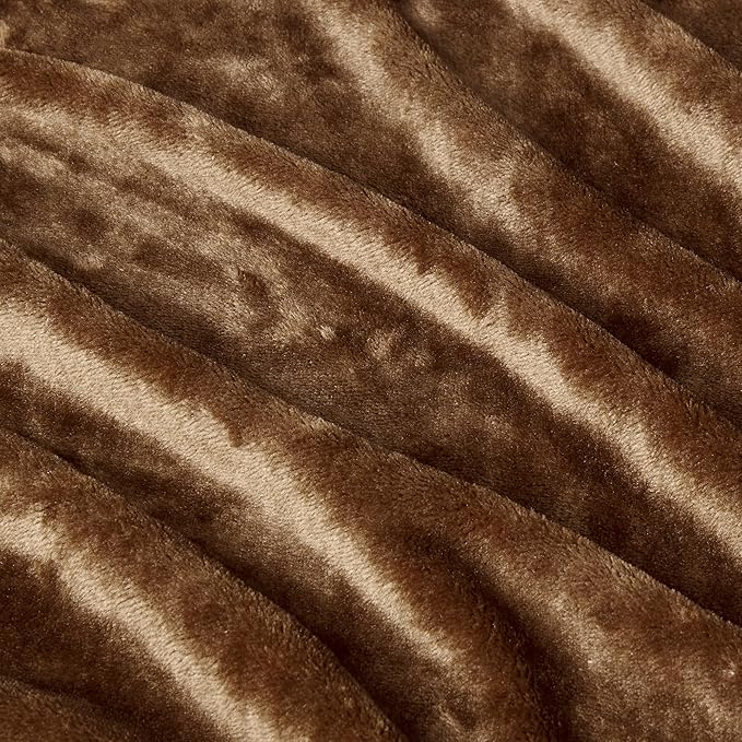 Basics Soft Fleece Throw Blanket, Lightweight Cozy Blanket for Couch & Sofa, 50 x 60 Inches, Brown