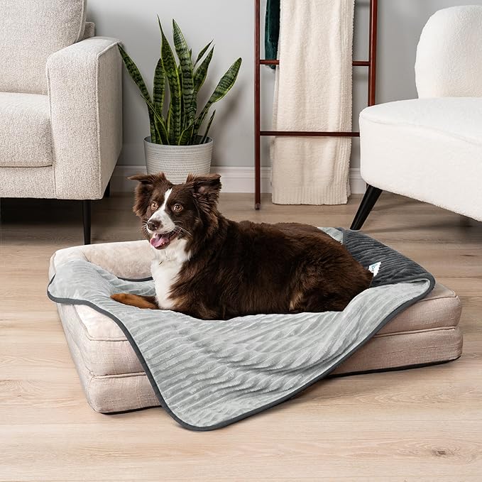 PetAmi Waterproof Dog Blanket, Leakproof Pet Blanket for Small Medium Large Dog, Reversible Furniture Bed Sofa Couch Cover Protector, Soft Striped Pet Throw for Indoor Cat, 40x60 in, Grey Light Gray