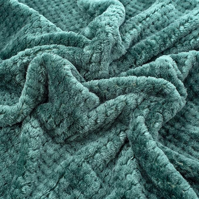 Fuzzy Blanket or Fluffy Blanket for Baby Girl or boy, Soft Warm Cozy Coral Fleece Toddler, Infant or Newborn Receiving Blanket for Crib, Stroller, Travel, Outdoor (24" x 32", DG-Black Green)