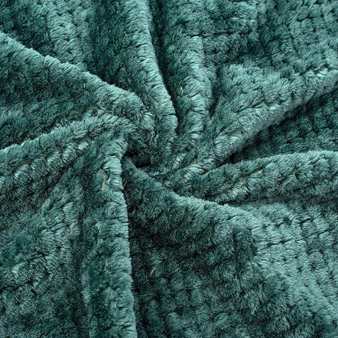Fuzzy Blanket or Fluffy Blanket for Baby Girl or boy, Soft Warm Cozy Coral Fleece Toddler, Infant or Newborn Receiving Blanket for Crib, Stroller, Travel, Outdoor (24" x 32", DG-Black Green)