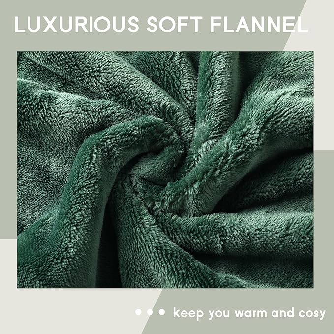 Heated Blanket Electric Blanket Queen Size 84''x90'' with 5 Heating Levels, 10 Hour Auto Shut Off, Machine Washable, Dual Controller Soft Warming Blanket for Couch, Bed, Office - Grass Green