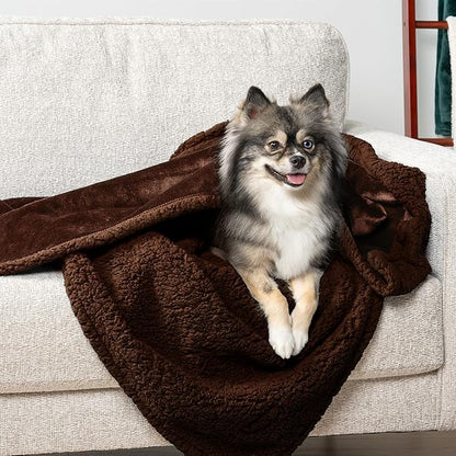 PetAmi Waterproof Dog Blanket for Small Medium Dog Puppy Cat Throw for Couch Cover Leakproof Protection, Sherpa Fleece, Reversible Soft Washable 29x40 Brown Brown