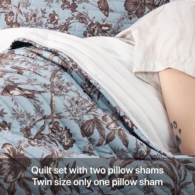 Quilt Set Queen Size Floral Patchwork Quilted, Soft Comforter Set Bedding Sets, Coverlet Bedspread Decorative Quilts with 2 Pillow Shams, (90"x90", 2 Pieces)