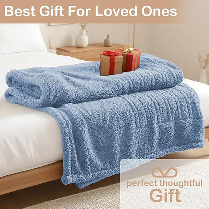 Electric Heated Blanket Full Size 72"×84" with 9 Heating Levels & 1-10Hs Auto Off，Double Sided Plush Sherpa, Energy Efficient, Machine Washable, for Couch & Bed, Light Blue