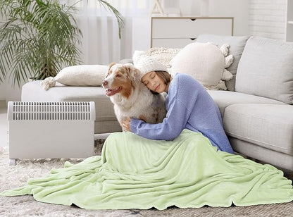 Utopia Bedding Fleece Blanket Throw Size Sage Green 300GSM Luxury Anti-Static Fuzzy Soft Microfiber Blanket for Couch, Sofa and Bed (50x60 Inch)