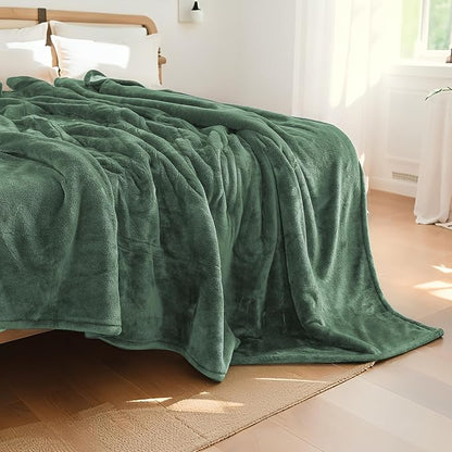 Electric Heated Blanket Queen Size 84"x90", Soft Plush Microplush for Bed, Dual Controllers & Heating Zones, 10Hs Auto Off & 4 Heating Levels, Machine Washable, Gifts for Family-Sage Green
