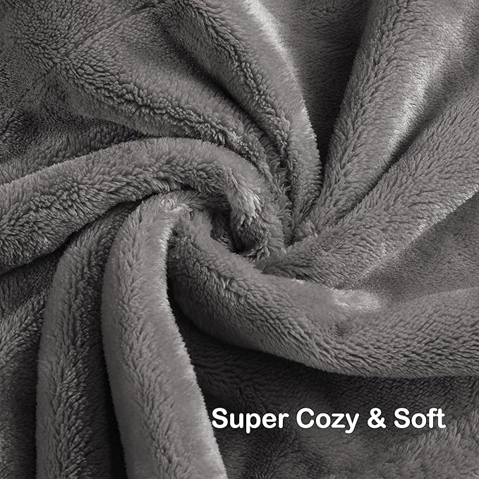 Electric Heated Blanket Queen Size 84"x90", Soft Plush Microplush for Bed, Dual Controllers & Heating Zones, 10 Hs Auto Off & 4 Heating Levels, Machine Washable, Gifts for Family-Light Gray