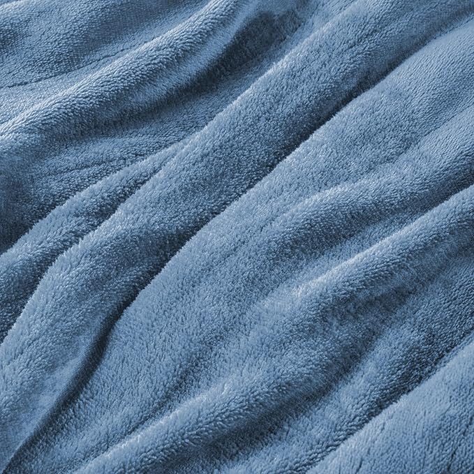 Electric Heated Blanket Twin Size 62"x84", Fast Heating Throw, Soft Plush Microplush for Bed & Couch, 1-10Hs Auto Off & 6 Heating Levels, Machine Washable, Gifts for Grandma & Family-Light Blue