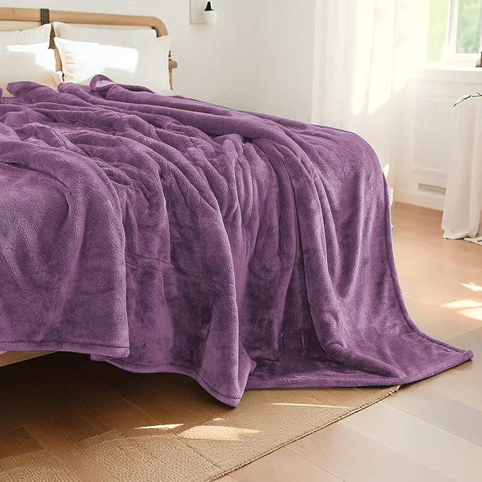 Electric Heated Blanket Full Size 72"x84",Fast Heating, Soft Plush Microplush for Bed & Couch, 10 Hours Auto Off 5 Heating Levels, Machine Washable, Gifts for Grandma & Family-Light Purple