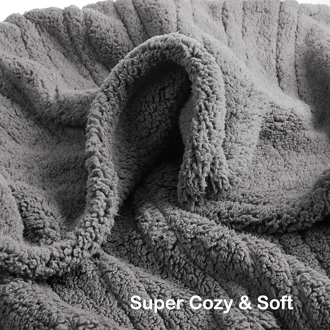 Electric Heated Blanket Twin Size 62"×84" with 9 Heating Levels & 1-10Hs Auto Off, Heating Blankets Double Sided Plush Sherpa, Energy Efficient, Machine Washable, Light Gray