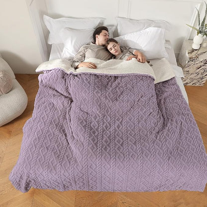 Heated Blanket Electric King Size, Machine Washable Plush Heated Blanket with Dual Control 5 Heating Levels & 10 Hours Auto Off, Fast Heating & Overheat Protection, 100" x 90", Lavender Violet
