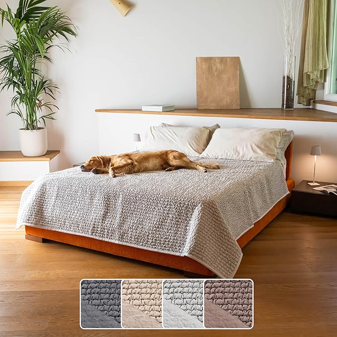 PAULATO BY GA.I.CO. Waterproof Blanket for Bed – King Absorbent Couch Cover – Machine Washable Stain-Resistant Pad for Large Sofa – Pets Cat & Dog Friendly Furniture Protector - Light Grey