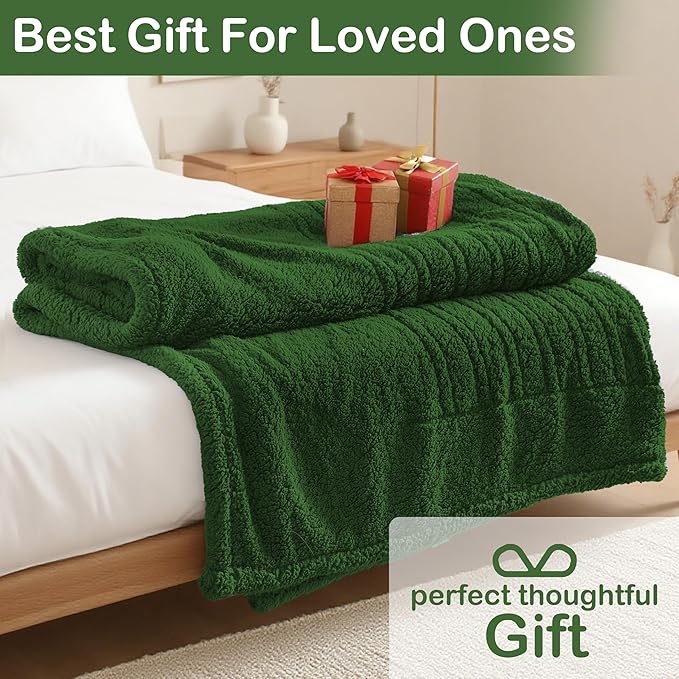 Electric Heated Blanket Full Size 72"×84" with 9 Heating Levels & 1-10Hs Auto Off，Double Sided Plush Sherpa, Energy Efficient, Machine Washable, for Couch & Bed, Green