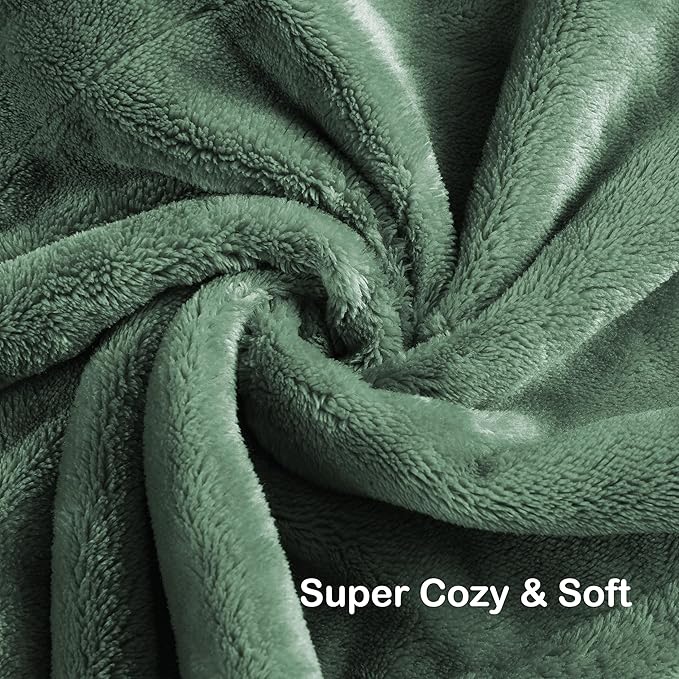 Electric Heated Blanket Queen Size 84"x90", Soft Plush Microplush for Bed, Dual Controllers & Heating Zones, 10Hs Auto Off & 4 Heating Levels, Machine Washable, Gifts for Family-Sage Green