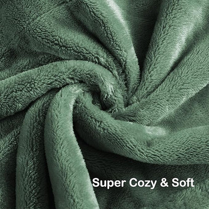 Electric Heated Blanket Queen Size 84"x90", Soft Plush Microplush for Bed, Dual Controllers & Heating Zones, 10Hs Auto Off & 4 Heating Levels, Machine Washable, Gifts for Family-Sage Green