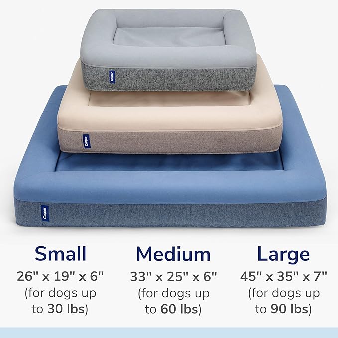 Casper Dog Bed, Plush Memory Foam, Large, Gray