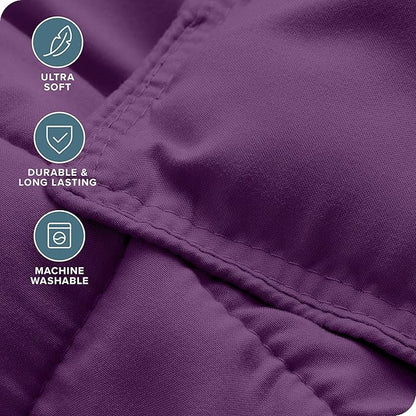 Bare Home Comforter Set - Queen Size - Ultra-Soft - Goose Down Alternative - Premium 1800 Series - All Season Warmth (Queen, Plum)