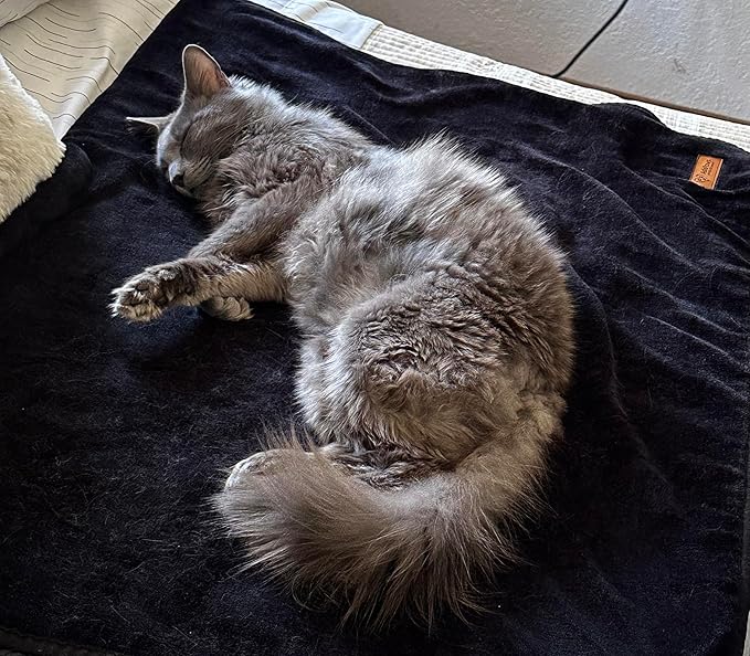 Sherpa Dog & Cat Blanket – Cozy Soft Fleece Comfort for Your Furry Family