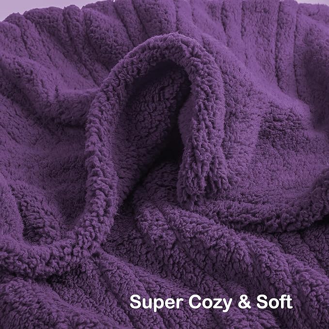 Electric Heated Blanket Full Size 72"×84" with 9 Heating Levels & 1-10Hs Auto Off，Double Sided Plush Sherpa, Energy Efficient, Machine Washable, for Couch & Bed, Dark Purple