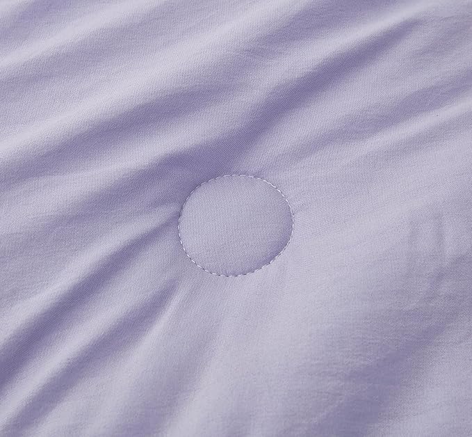 Chezmoi Collection Nora Lavender Comforter Set Queen Size 3-Piece Lightweight Fluffy Soft Lightweight Bedding Ruffled Edge Trim Stone-Washed Microfiber Comforter Set for All Season
