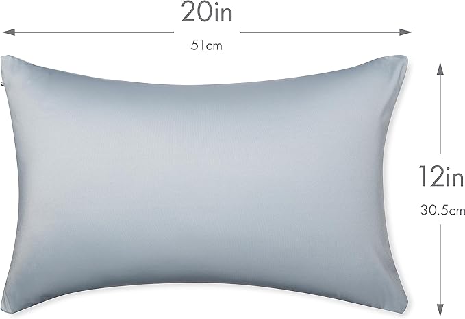 PILLOWY 24" x 24" Throw Pillow - Light Grey: 1 PCS Luxurious Premium Microbead Pillow with 85/15 Nylon/Spandex Fabric. Forever Fluffy, Outstanding Beauty & Support. Silky, Soft & Beyond Comfortable