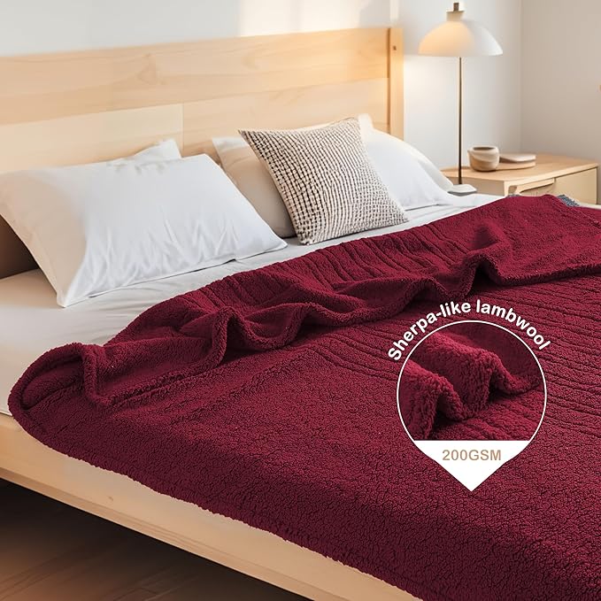 Electric Heated Blanket Full Size 72"×84" with 9 Heating Levels & 1-10Hs Auto Off，Double Sided Plush Sherpa, Energy Efficient, Machine Washable, for Couch & Bed, Red