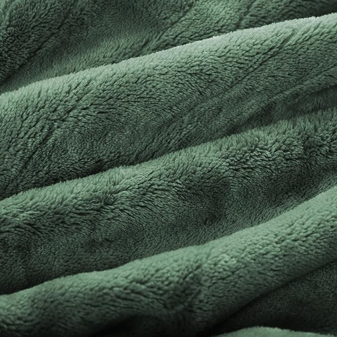 Electric Heated Blanket Queen Size 84"x90", Soft Plush Microplush for Bed, Dual Controllers & Heating Zones, 10Hs Auto Off & 4 Heating Levels, Machine Washable, Gifts for Family-Sage Green