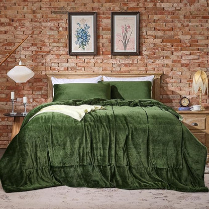 Lotus Karen Queen Comforter Set - Ultra Soft & Warm Velvet Dark Green Comforter Set for Men Women - Cozy Fuzzy Plush Fluffy Luxury Bedding Set 3 Pieces (1 Comforter and 2 Pillowcases)