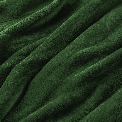 Electric Heated Blanket Twin Size 62"x84", Fast Heating Throw, Soft Plush Microplush for Bed & Couch, 10 Hours Auto Off & 5 Heating Levels, Machine Washable, Gifts for Grandma & Family-Green