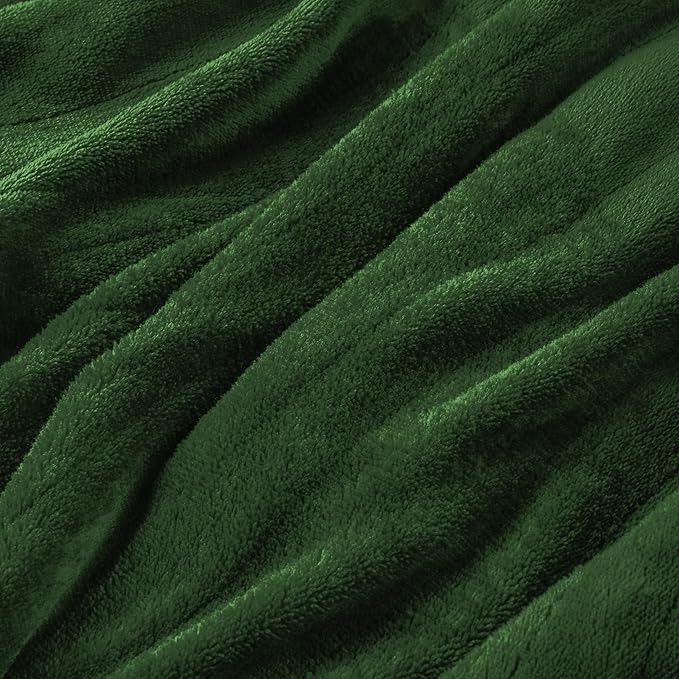 Electric Heated Blanket Full Size 72"x84",Fast Heating Throw, Soft Microplush for Bed & Couch, 10 Hours Auto Off & 5 Heating Levels, Machine Washable, Gifts for Grandma & Family-Green
