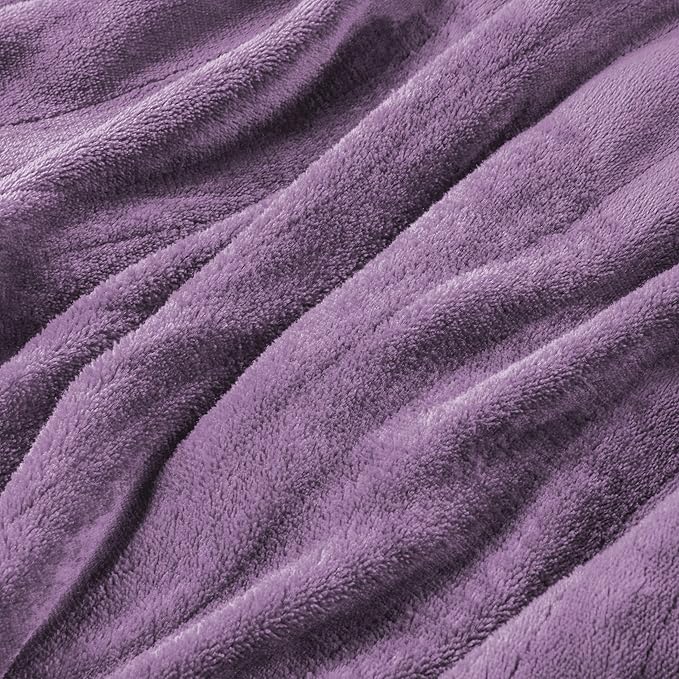 Electric Heated Blanket Twin Size 62"x84", Fast Heating Throw, Soft Plush Microplush for Bed & Couch, 1-10 Hours Auto Off & 6 Heating Levels, Machine Washable, Gifts for Grandma & Family-Purple