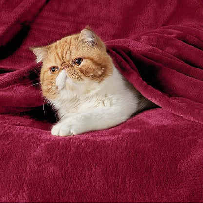 Bedsure GentleSoft Fleece Throw Blanket Red - 300GSM Christmas Blankets for Couch, Sofa, Bed, Soft Lightweight Plush Cozy Throws for Toddlers, 50x60 inches