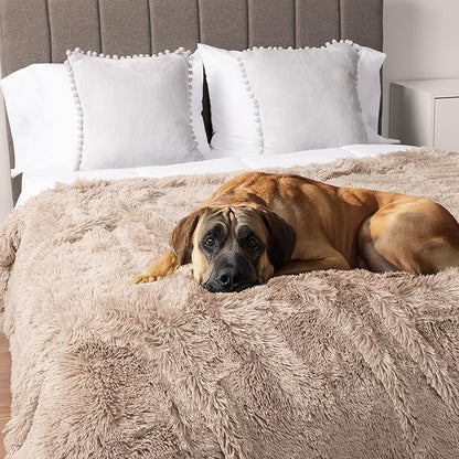 PetAmi Waterproof Dog Blanket for Large Dog, Queen Size Calming Pet Blanket Couch Cover Protector, Sherpa Faux Fur Cat Throw for Sofa Furniture Bed, Soft Fluffy XL, 90x90 Taupe