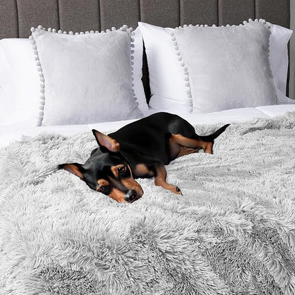 PetAmi Waterproof Dog Blanket for Large Dog, Calming Pet Blanket Bed Couch Cover Protector, Washable Sherpa Faux Fur Throw for Sofa Furniture Protection, Soft Fluffy 60x80 Light Gray