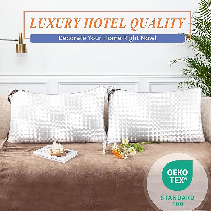 MZOIMZO Luxury Comfy Hotel Collection Bed Pillows for Sleeping- Firm Queen Size Set of 2, Gusseted Cooling Side Mesh Design with Premium Down Alternative Filling for Back, Stomach or Side Sleepers